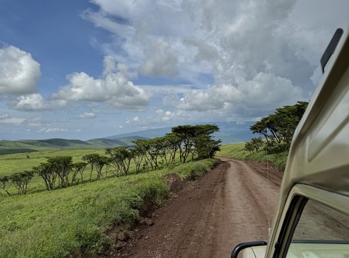 Souvenir du voyage de Charly, Tanzanie