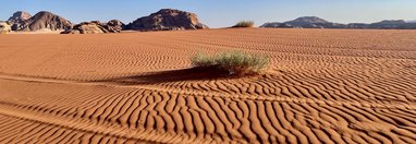 Souvenir du voyage de Didier, Jordanie
