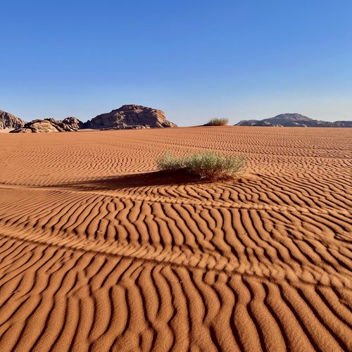 Souvenir du voyage de Didier, Jordanie
