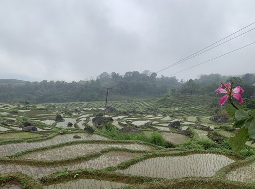 Souvenir du voyage de Stéphane, Vietnam