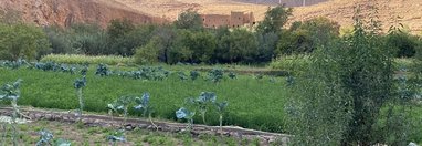 Souvenir du voyage de Maryline, Maroc