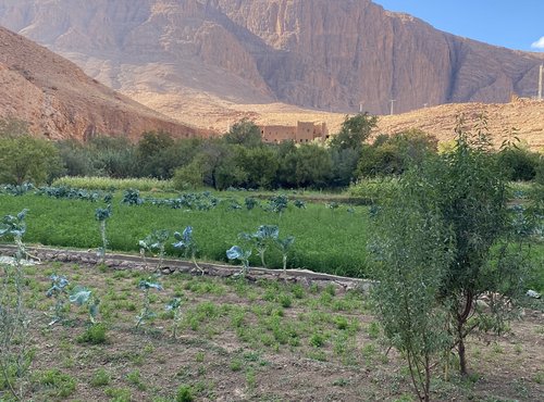 Souvenir du voyage de Maryline, Maroc