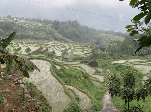 Souvenir du voyage de Stéphane, Vietnam