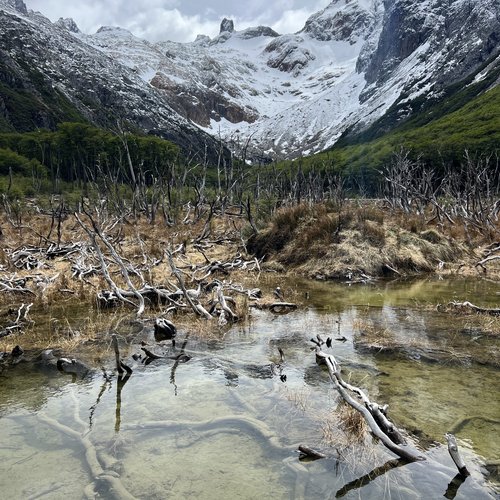 Souvenir du voyage de Fabienne, Argentine