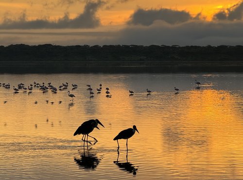 Souvenir du voyage de Charly, Tanzanie