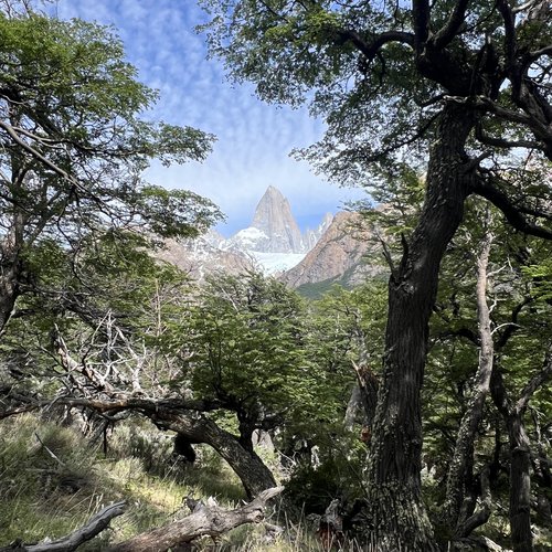 Souvenir du voyage de Fabienne, Argentine