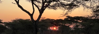 Souvenir du voyage de Vincent, Tanzanie
