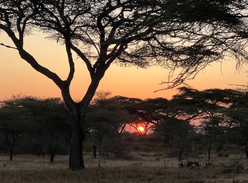 Souvenir du voyage de Vincent, Tanzanie