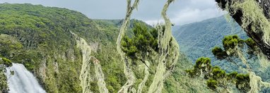 Souvenir du voyage de Nathalie, Kenya