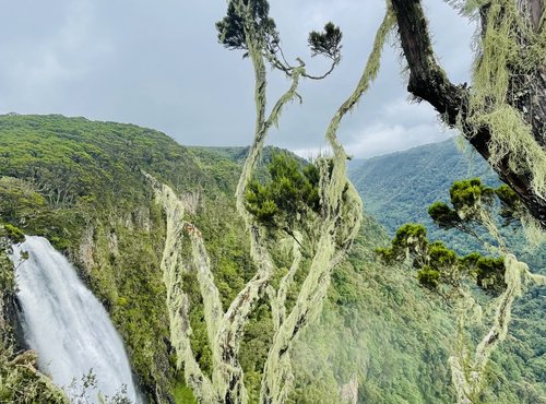 Souvenir du voyage de Nathalie, Kenya