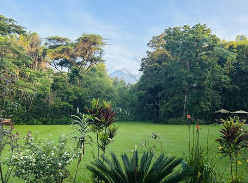 Souvenir du voyage de Louis, Tanzanie