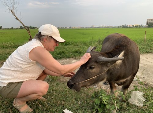 Souvenir du voyage de Stéphane, Vietnam