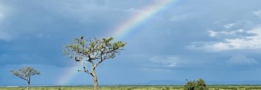 Souvenir du voyage de Nathalie, Kenya