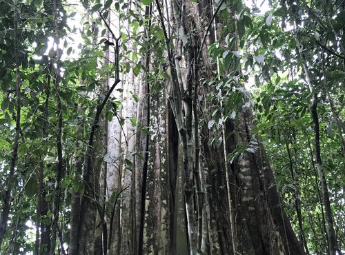 Souvenir du voyage de Brigitte, Costa Rica