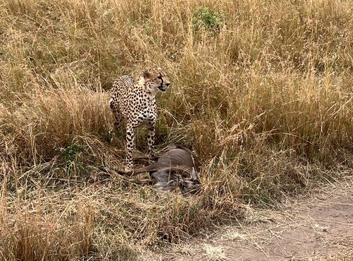 Souvenir du voyage de Vincent, Tanzanie