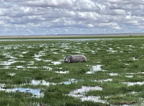 Souvenir du voyage de Nathalie, Kenya