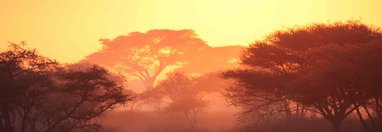 Souvenir du voyage de Pascale, Tanzanie