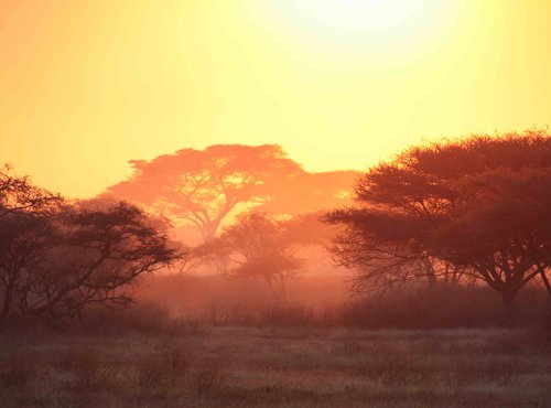 Souvenir du voyage de Pascale, Tanzanie