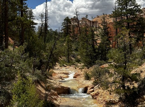 Souvenir du voyage de Béatrice, Etats Unis