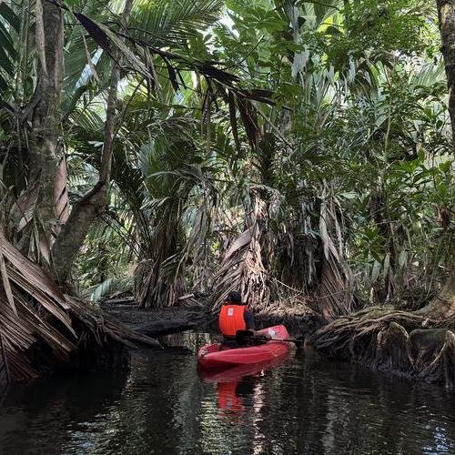 Souvenir du voyage de Clarisse, Costa Rica