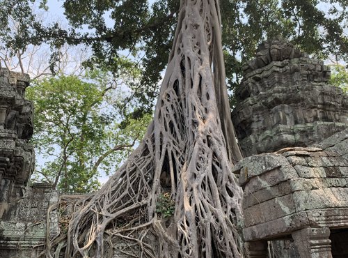 Souvenir du voyage de Stéphane, Vietnam