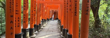 Souvenir du voyage de Margot, Japon