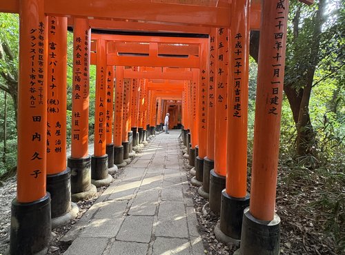 Souvenir du voyage de Margot, Japon