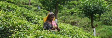 Souvenir du voyage de Valerie, Sri Lanka