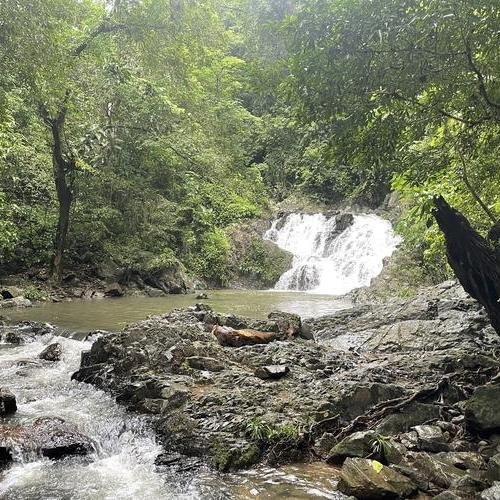 Souvenir du voyage de Mehdi Thomas, Panama