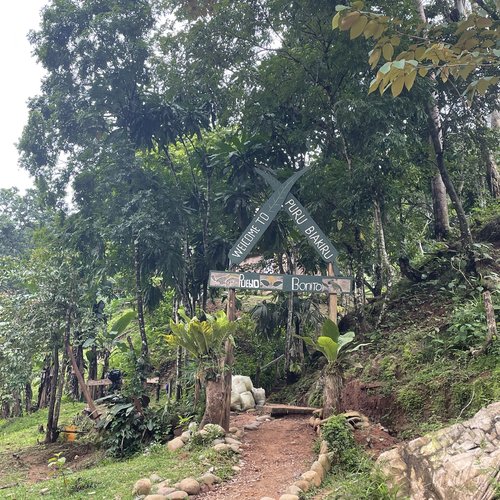 Souvenir du voyage de Mehdi Thomas, Panama