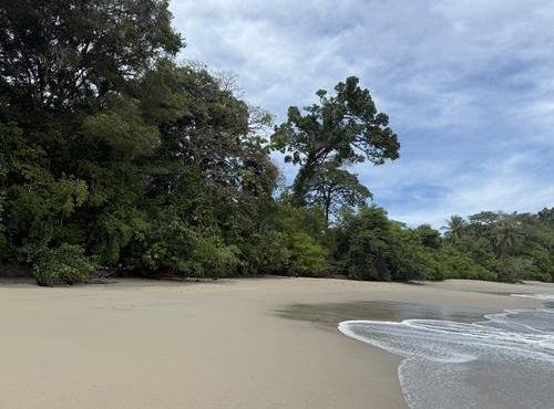 Souvenir du voyage de Clarisse, Costa Rica