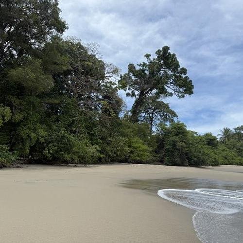 Souvenir du voyage de Clarisse, Costa Rica