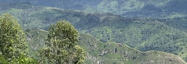 Souvenir du voyage de Valerie, Sri Lanka