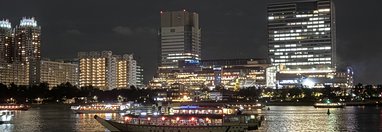 Souvenir du voyage de Margot, Japon