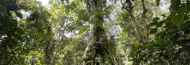 Souvenir du voyage de Mehdi Thomas, Panama