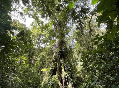 Souvenir du voyage de Mehdi Thomas, Panama