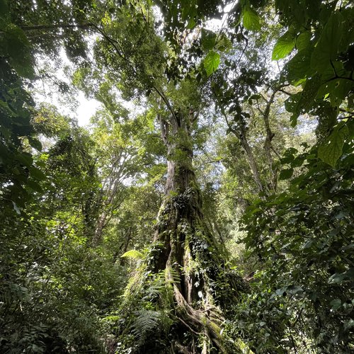 Souvenir du voyage de Mehdi Thomas, Panama
