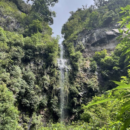 Souvenir du voyage de Mehdi Thomas, Panama