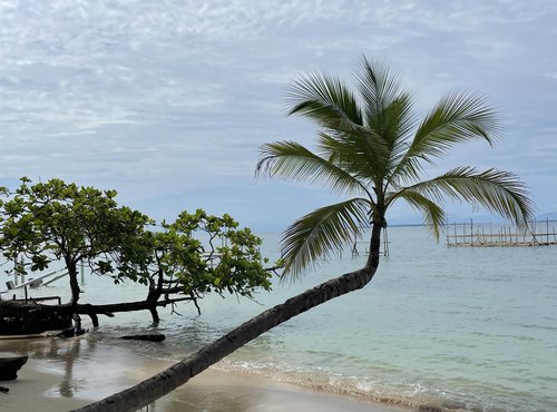 Souvenir du voyage de Mehdi Thomas, Panama
