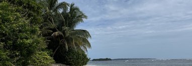 Souvenir du voyage de Mehdi Thomas, Panama