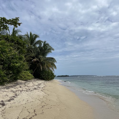 Souvenir du voyage de Mehdi Thomas, Panama