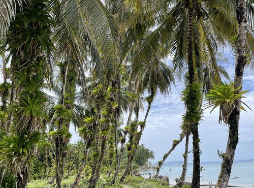 Souvenir du voyage de Mehdi Thomas, Panama