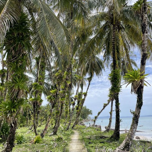 Souvenir du voyage de Mehdi Thomas, Panama