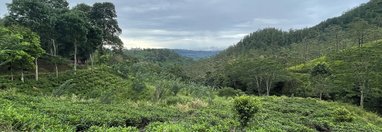 Souvenir du voyage de Valerie, Sri Lanka