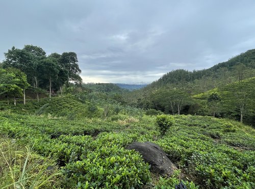 Souvenir du voyage de Valerie, Sri Lanka