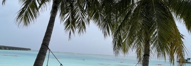 Souvenir du voyage de Valerie, Sri Lanka