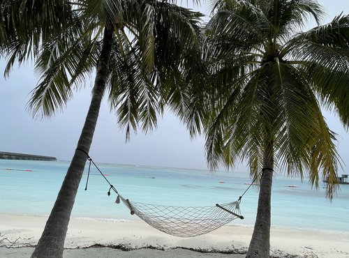 Souvenir du voyage de Valerie, Sri Lanka