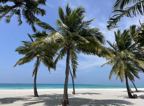 Souvenir du voyage de Valerie, Sri Lanka
