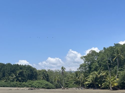 Souvenir du voyage de Pascal, Costa Rica