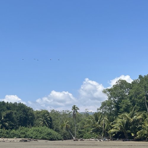 Souvenir du voyage de Pascal, Costa Rica